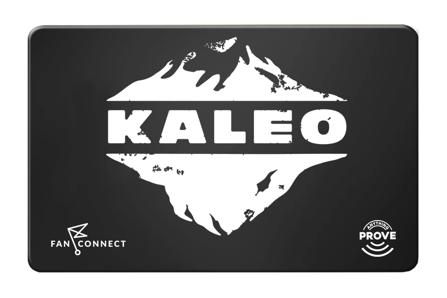 Fan Connect Provides Ticketing and Authenticates Merch for Kaleo